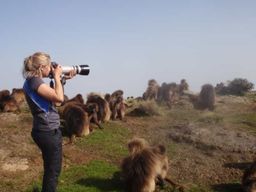 3 jours de trekking et d'observation de la faune dans les montagnes du Simien