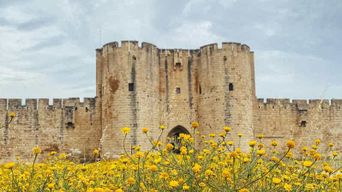 Aigues-Mortes : Visite guidée privée de la ville + Tour de Constance