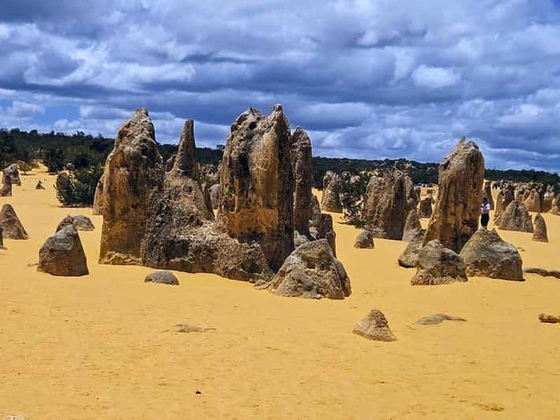 Perth : visite d'une journée privée au désert des Pinnacles et aux dunes de sable