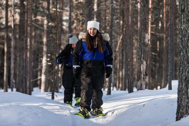 Rovaniemi : Voyage hivernal en raquettes dans la nature sauvage