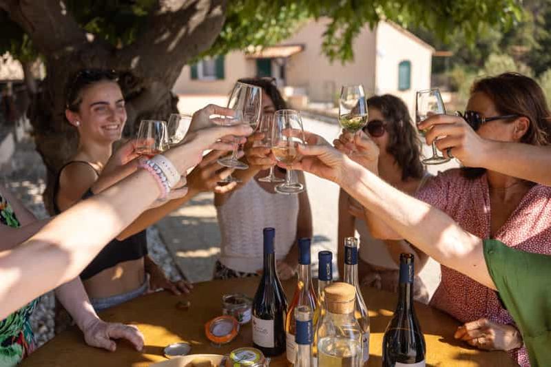 Visite oenoludique - Le Pradet