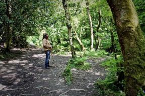 Au départ de Glastonbury : Circuit de 2 jours à Tintagel, Boscastle et Dartmoor