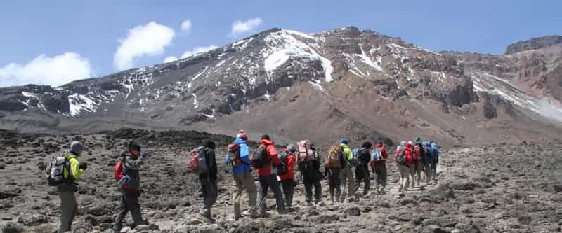 Parc national du Kilimandjaro - Plateau de Shira, randonnée d'une journée