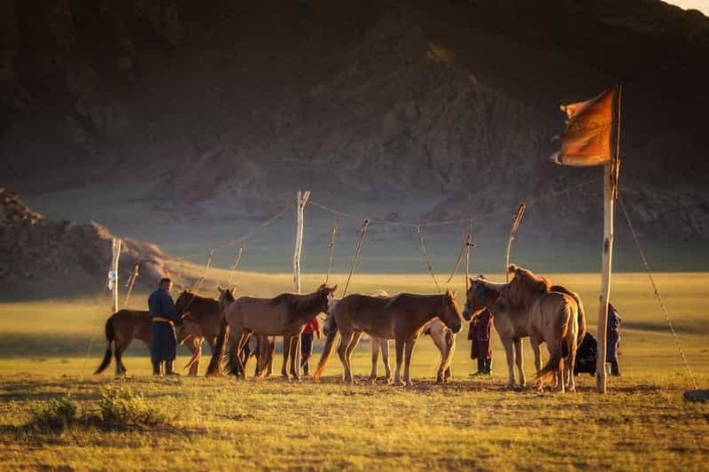 Depuis Oulan-Bator : Excursion d'une journée au parc national de Hustai