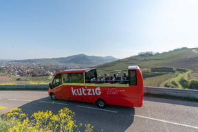 Route des Vins d'Alsace : visite en bus cabriolet à arrêts multiples