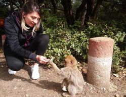Au départ de Fès, excursion spéciale dans le Moyen Atlas en petit groupe