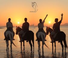 Sharm El Shiekh : Excursion à cheval dans le désert (plage et ville)
