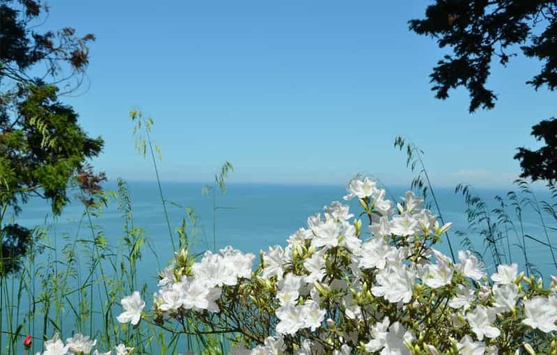 Mer Noire : Visite de la plage de Magnetic et du jardin botanique de Batumi