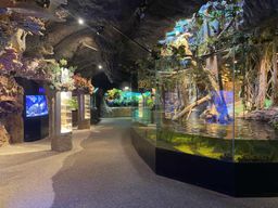 Stockholm : Billet d'entrée pour l'Aquarium de Skansen