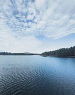 Sentier d'interprétation des mammifères aquatiques : Alvão