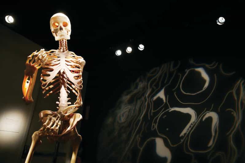 Las Vegas : BODIES | L'exposition au Luxor