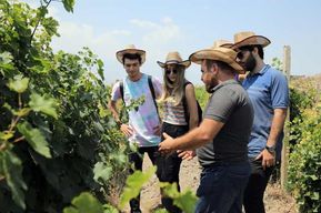 Erevan : Excursion d'une journée à Khor Virap avec dégustation de vins du Mont Ararat