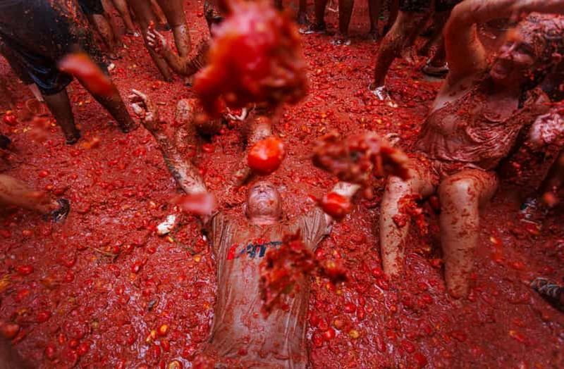 Depuis Valence : Vivez La Tomatina 2026 avec transport privé et guide expert