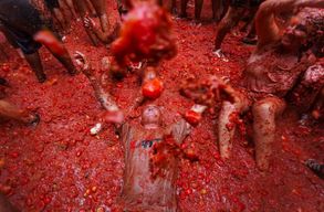 Depuis Valence : Vivez La Tomatina 2026 avec transport privé et guide expert