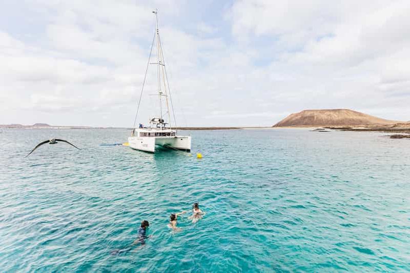 Corralejo : Excursion en catamaran sur l'île de Lobos avec boissons et plongée en apnée