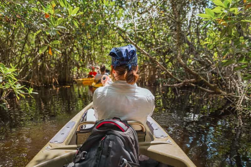Parc national des Everglades : Excursion en kayak dans le tunnel de la mangrove