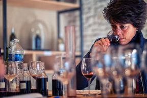 Château de Terride : visite du chai de vinification & dégustation de vins