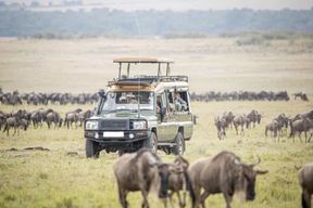 8 jours de safari en Tanzanie pour la migration des gnous dans le Serengeti