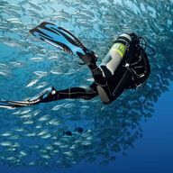 Plongée dans un paradis caché – Expérience à Raja Ampat