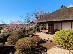 Ibaraki : Kairakuen, l'un des trois plus beaux jardins du Japon