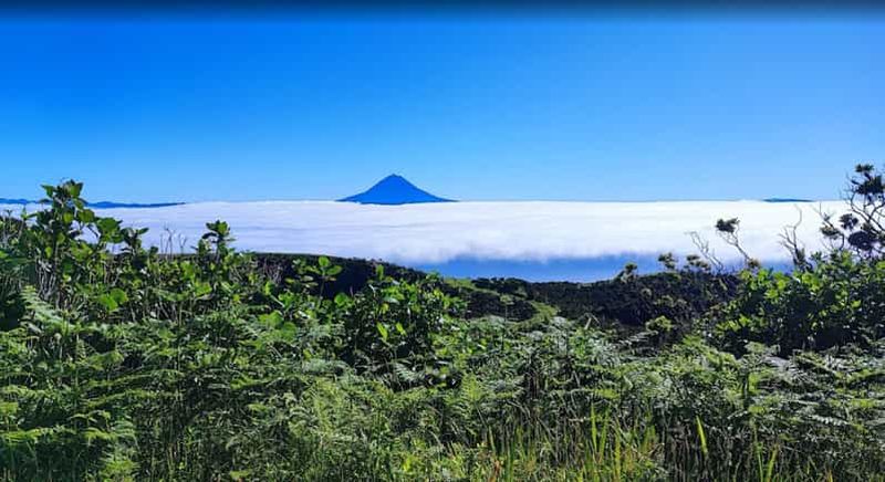 Aventure panoramique sur l'île de São Jorge - Circuit de 4 heures