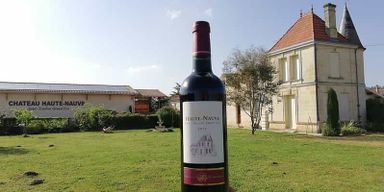 Saint-Émilion : Visite guidée du vignoble et dégustation