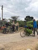 Mto wa Mbu : visite culturelle du village avec visite du marché local