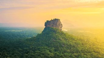Randonnée au Rocher du Lion de Sigiriya et safari dans le parc national de Minneriya