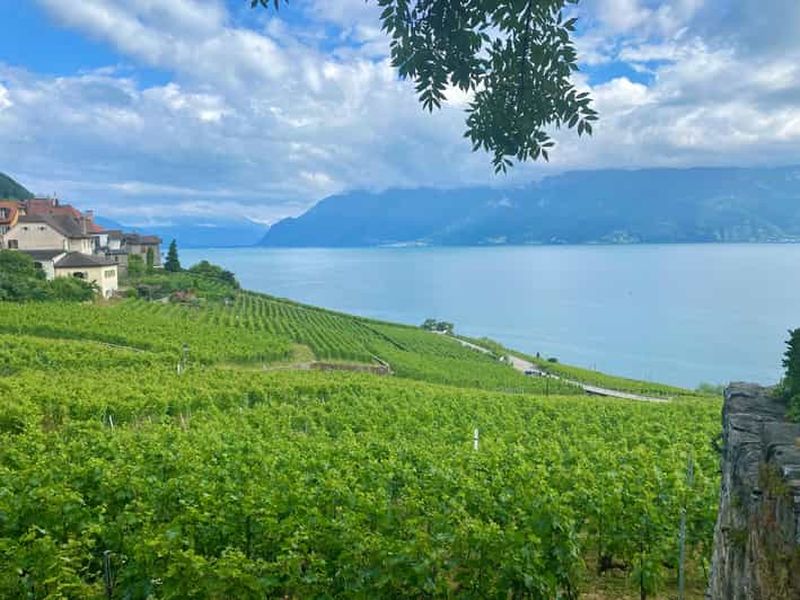 Gruyères et vignoble de Lavaux avec fromage et vin | Au départ de Berne