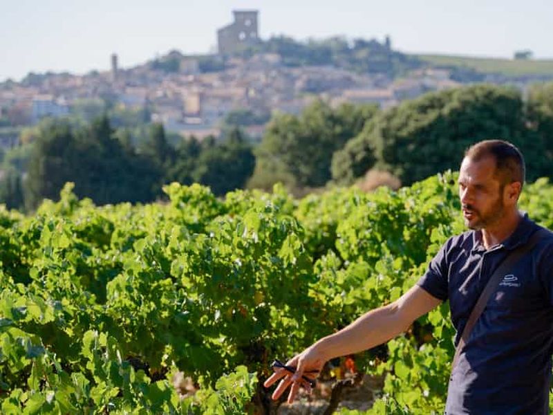 Au départ d'Avignon : visite d'une demi-journée à Châteauneuf du Pape