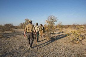 Au départ de Windhoek : safari guidé d'une journée dans le parc national d'Etosha