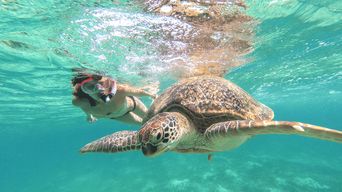 Au départ de Cancun : Tulum et Akumal - Excursion dans un cénote et baignade avec des tortues