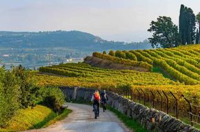 Isola d'asti : E-Bike et dégustation de vins