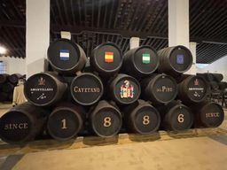Jerez de la Frontera : visite d'une cave à vin de Xérès avec dégustation
