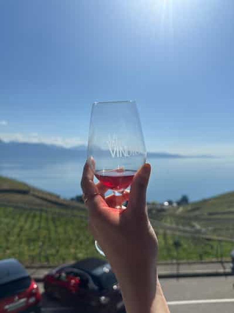Vin et vignoble de Lavaux avec croisière