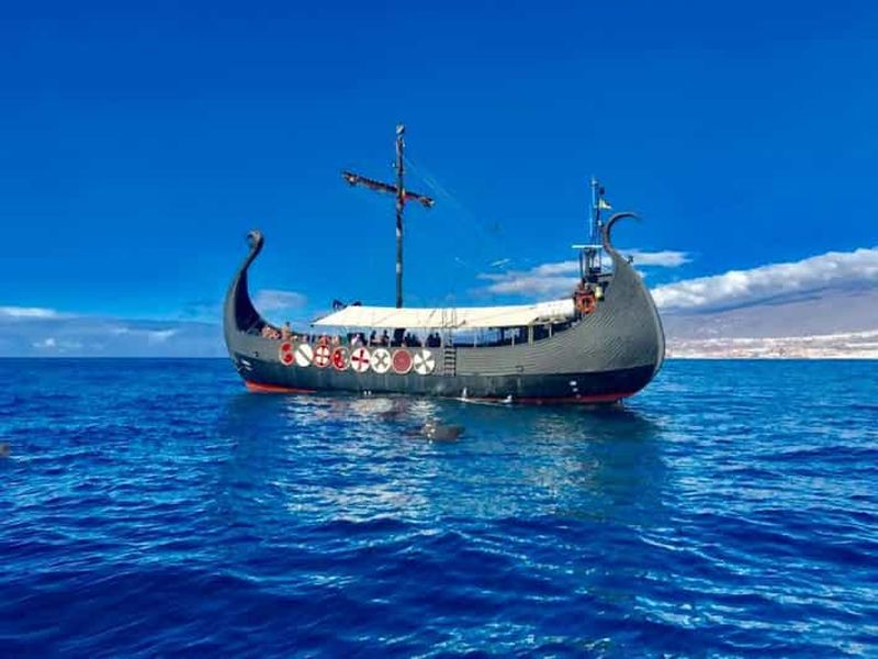 Los Cristianos : Croisière Viking Observation des baleines et des dauphins
