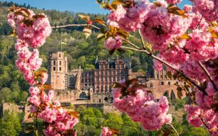 Heidelberg : Visite en bus touristique et visite des châteaux