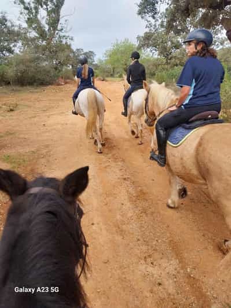 Loulé : balades équestres guidées dans les collines de Salir