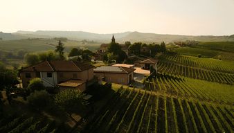 Visite et dégustation de vins dans les Langhe et le Monferrato