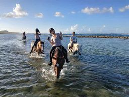 Saint-François : Balade à cheval en bord de mer de 2h30