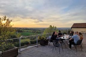 Bologne : dégustation de vin et visite de vignoble dans les Colli Bolognesi