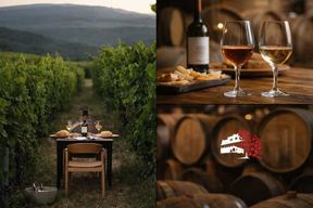 Depuis Thessalonique : escapade et dégustation de vin à Naoussa