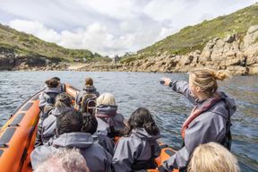 Penzance : Tour en bateau de Land's End avec des guides de la faune et de la flore