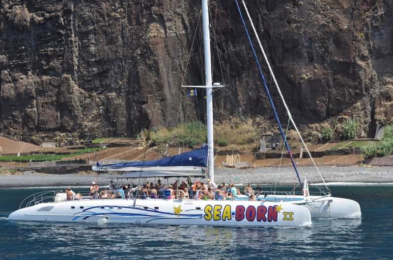 Funchal : Croisière d'observation des baleines et des dauphins en catamaran