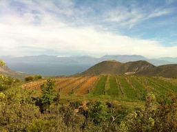 Patra : Kalavryta, grotte des lacs et visite de vignoble