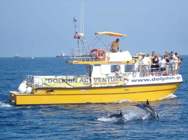 Gibraltar : excursion d'observation des dauphins