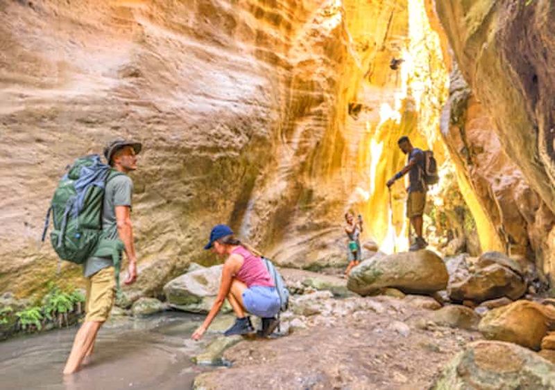 Gorge d'Avakas et baignade à Lara Beach : aventure en minibus au départ de Paphos