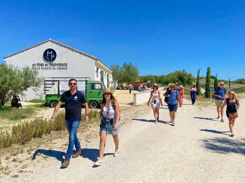 Visite des champs de lavande et de la distillerie entre Nîmes et Arles