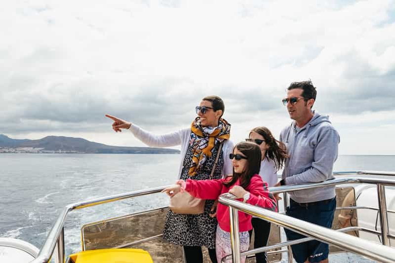 Los Cristianos : Croisière observation des baleines avec baignade sur un Eco-Yacht