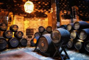 Jerez : Visite guidée des Bodegas Fundador avec dégustation